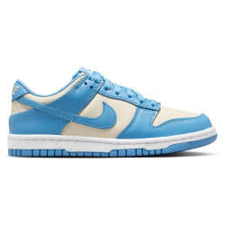 Nike Dunk Low (GS)